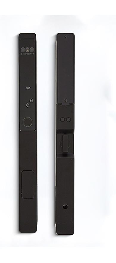 WF-021 全自动 3D 人脸掌静脉铝合金门锁